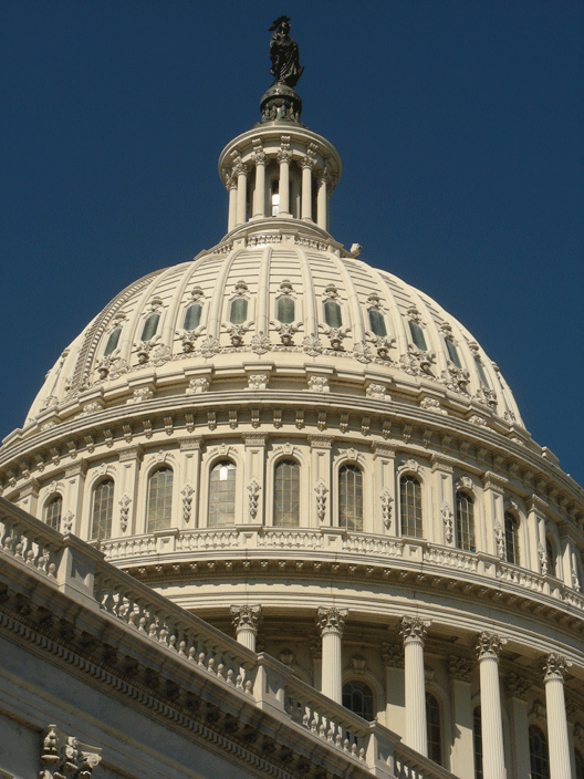 DSCN2941.gif - US Capitol (Oct '08)